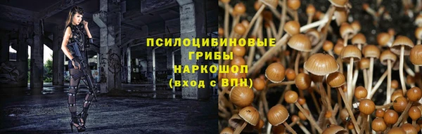 спайс Липки
