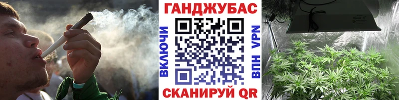 Купить где  Называевск  Канабис ГИДРОПОН 